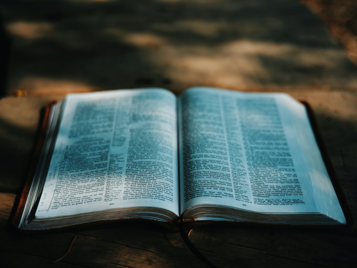 Open leather-bound book with visible text on a dark wooden table.